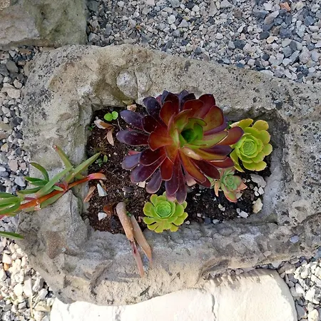 Domyv'loup Entrevaux