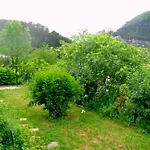 Domyv'loup