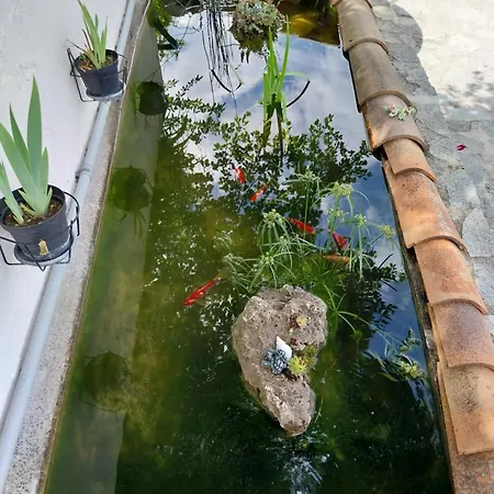 Villa Domyv'loup Entrevaux