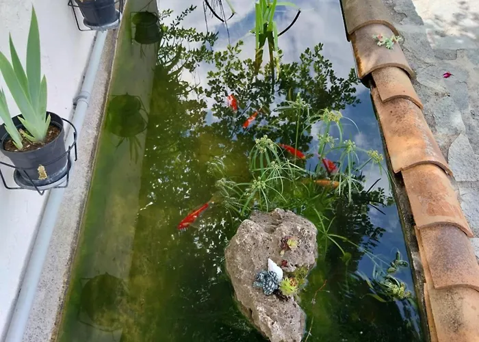 Villa Domyv'loup Entrevaux